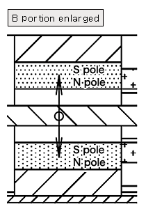 B portion